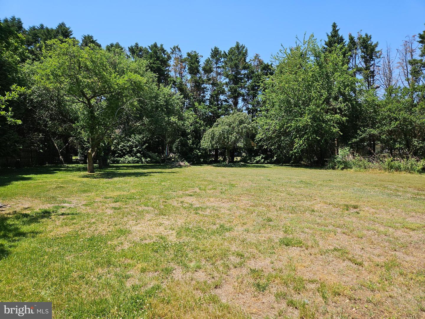 8140 Haven St Property Photo 24