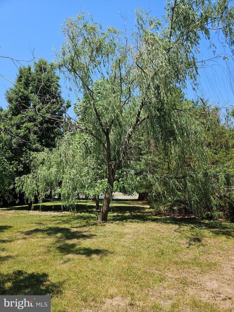 8140 Haven St Property Photo 27