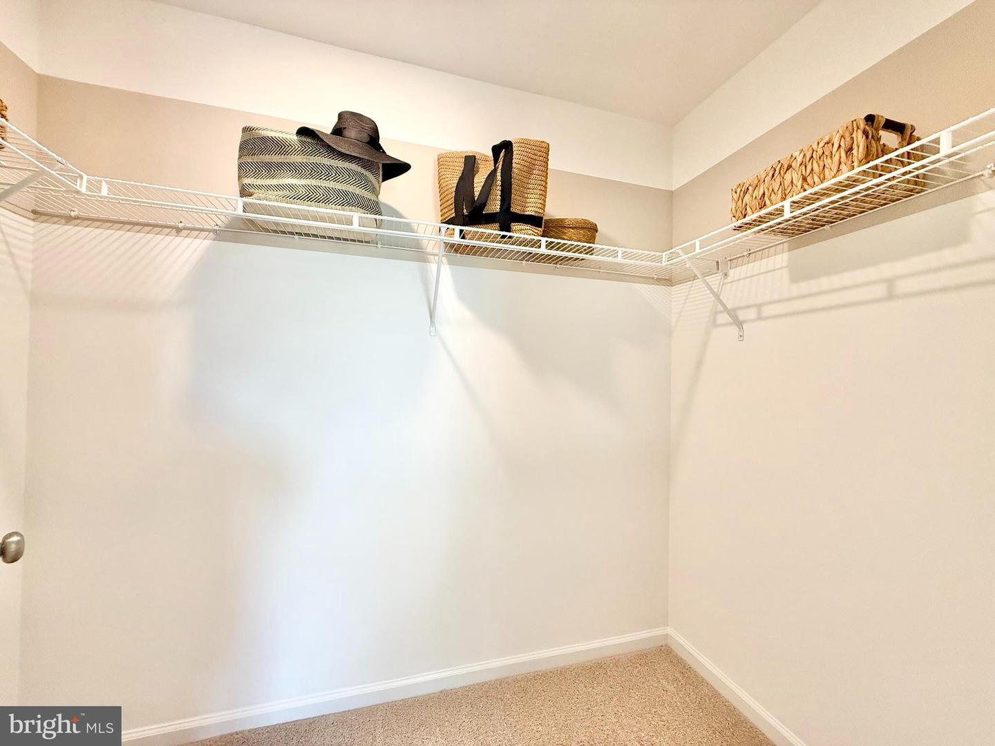 109 Hobbs St Property Photo 17