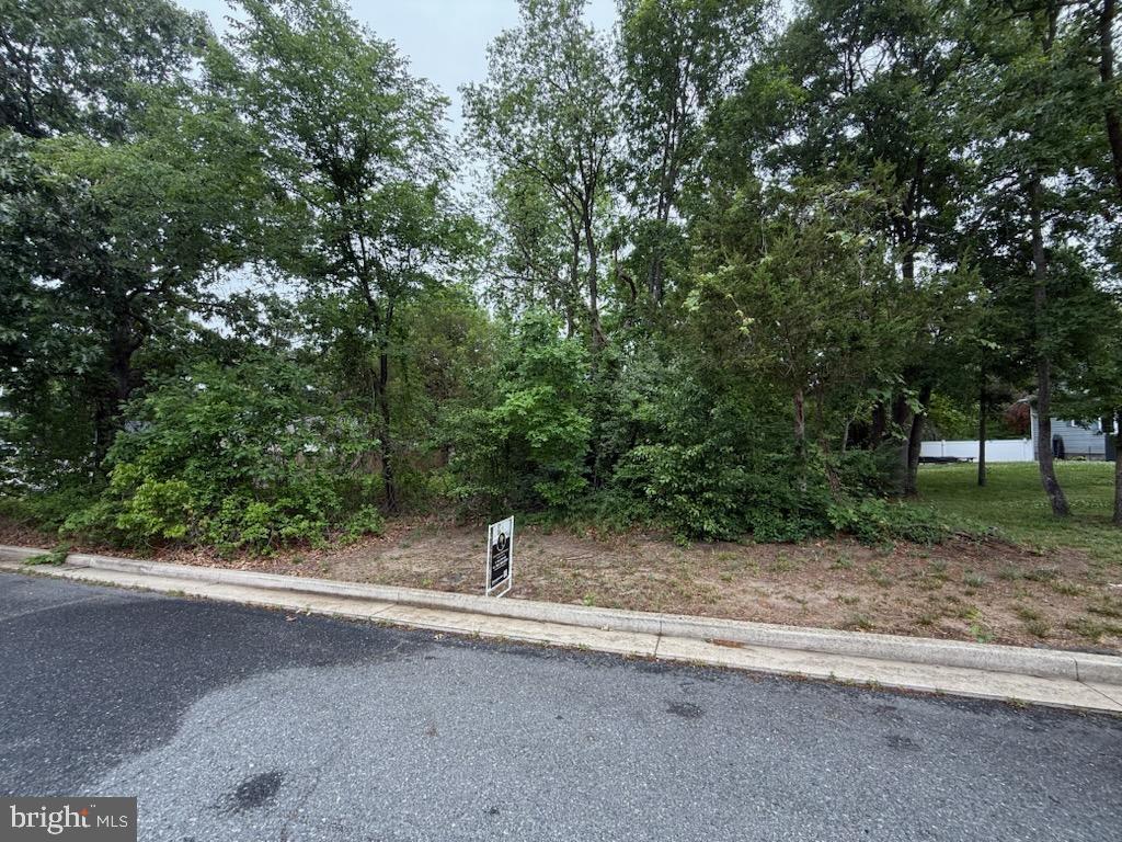 Charlotte Ave Property Photo 1