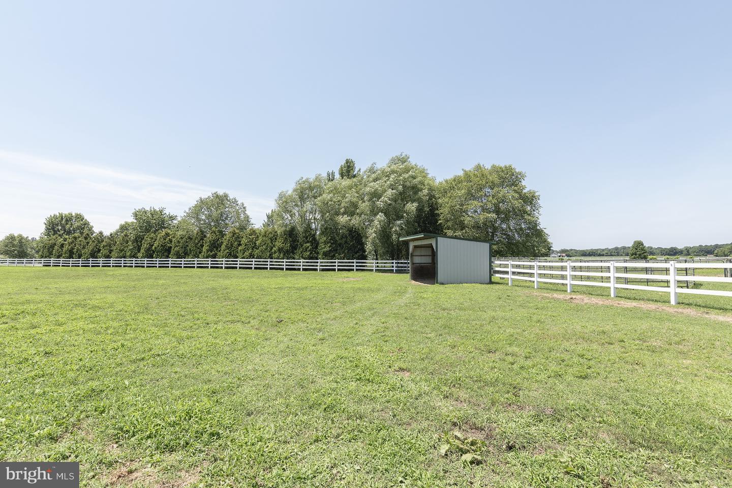 6354 Statum Rd Property Photo 49
