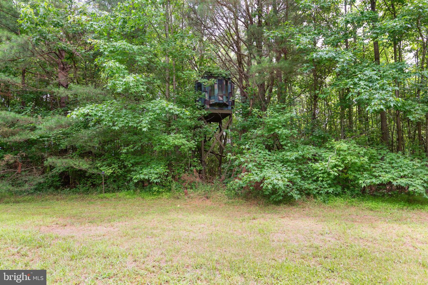 16881 Heritage Hills Ln Property Photo 57