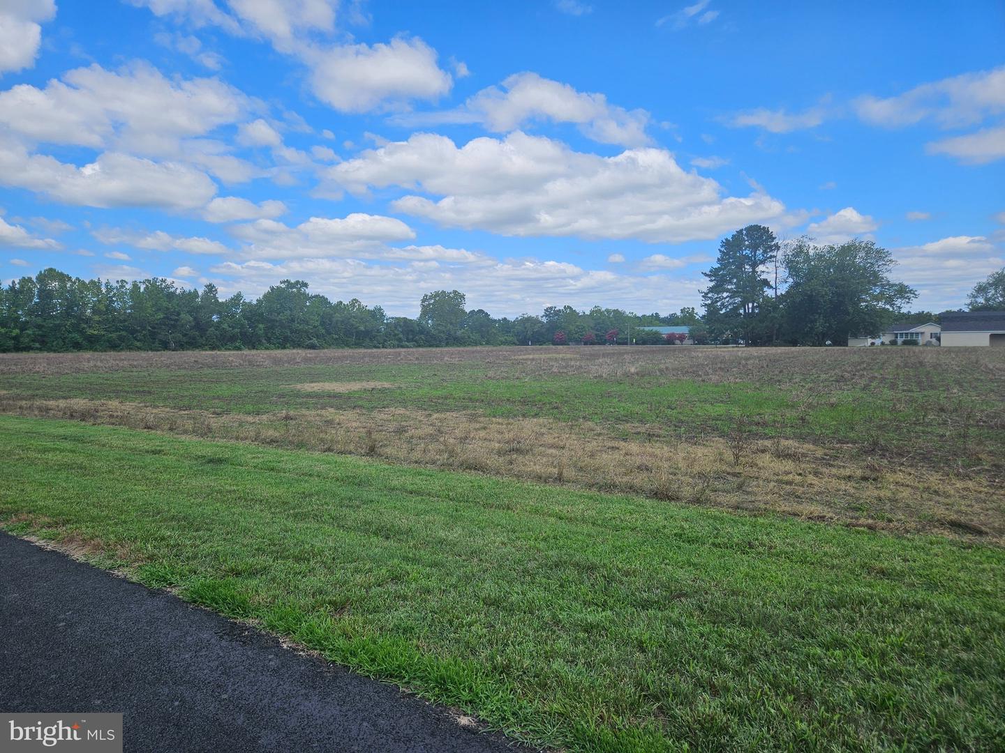 1120 Blades Farm Rd Property Photo 5