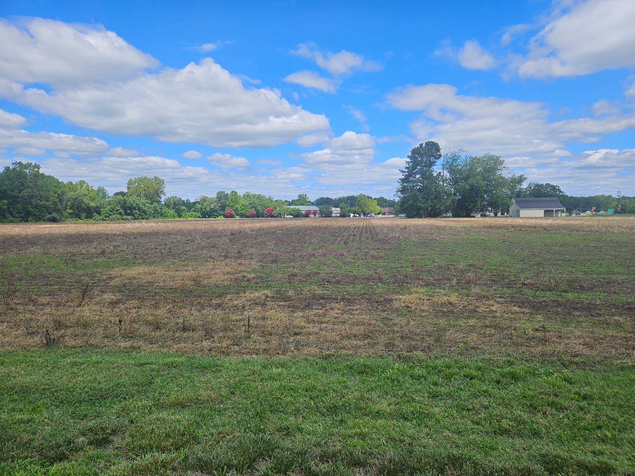 1120 Blades Farm Rd Property Photo 11