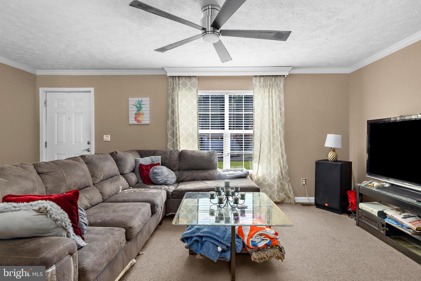22845 Peaviner Rd Property Photo 7