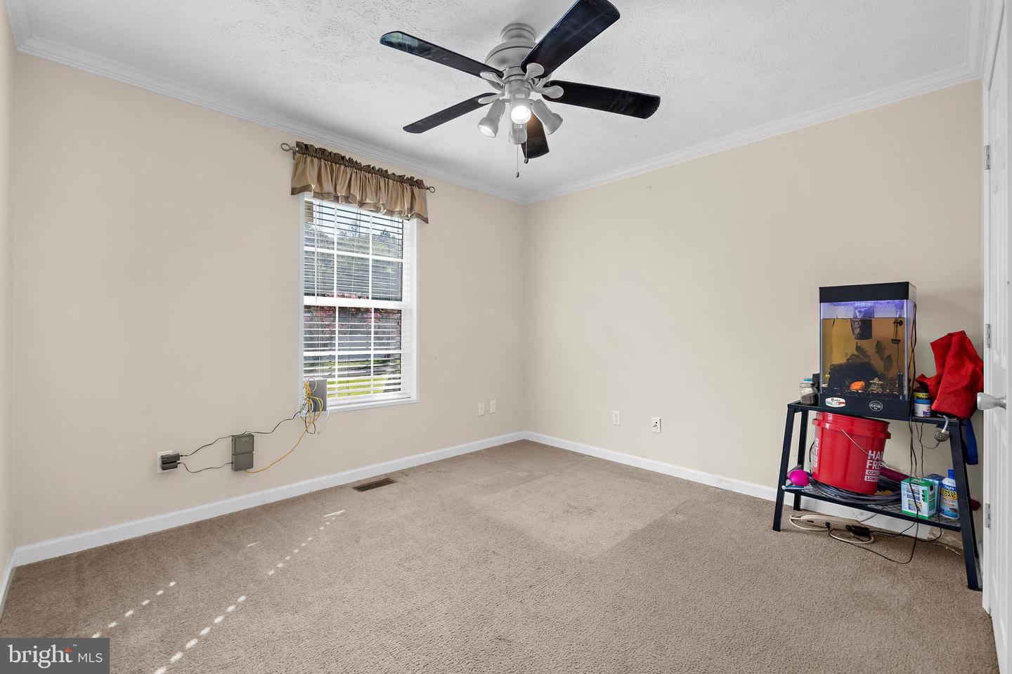 22845 Peaviner Rd Property Photo 29