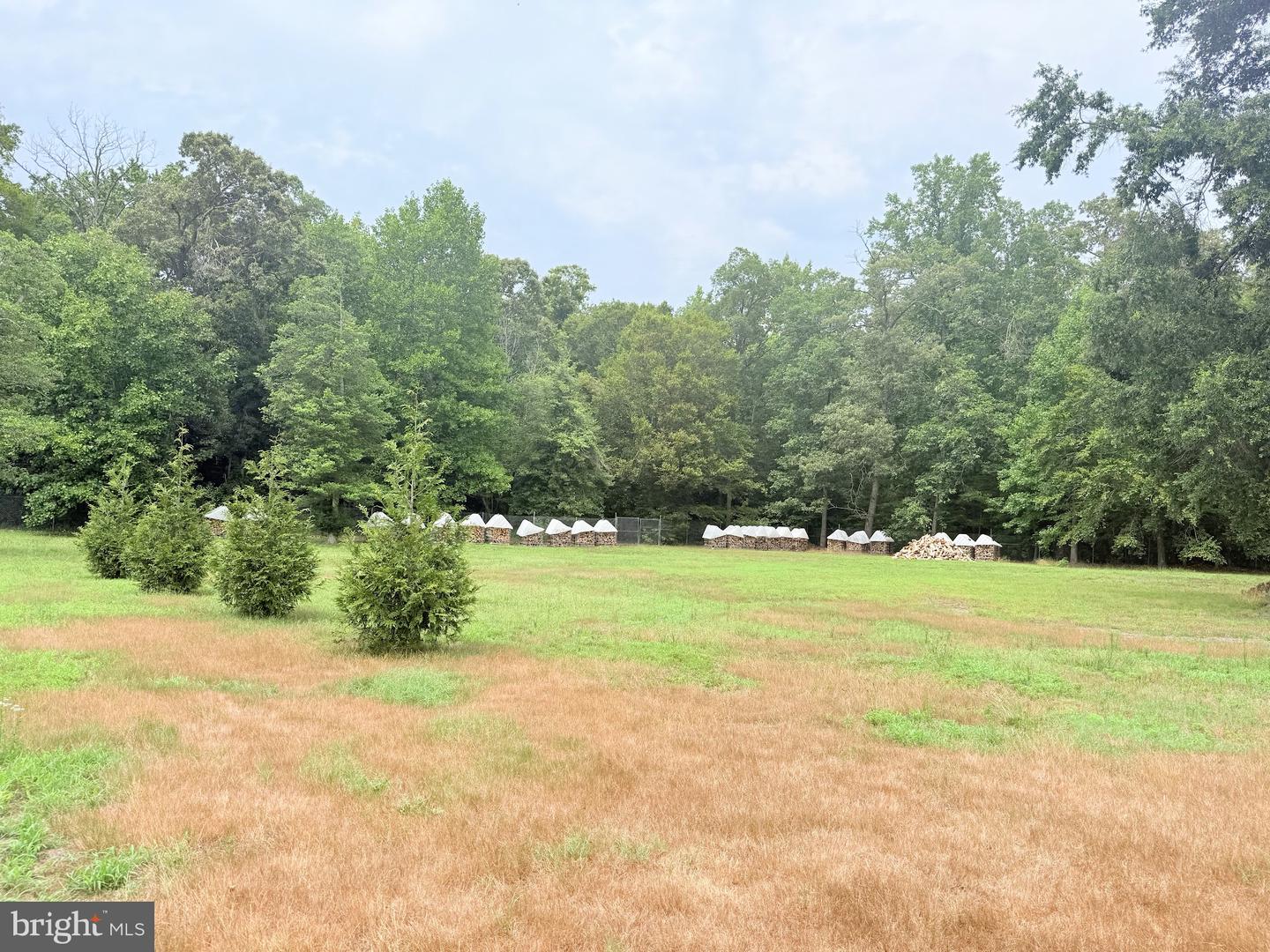 14540 Drapers Mill Rd Property Photo 4