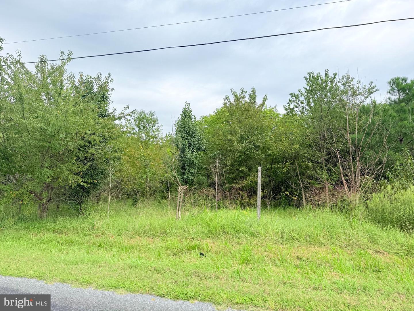 15441 Cutoff Rd Property Photo 1