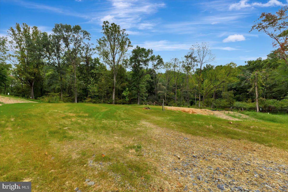 Lot 1 Snowdens Run Road Property Photo 4