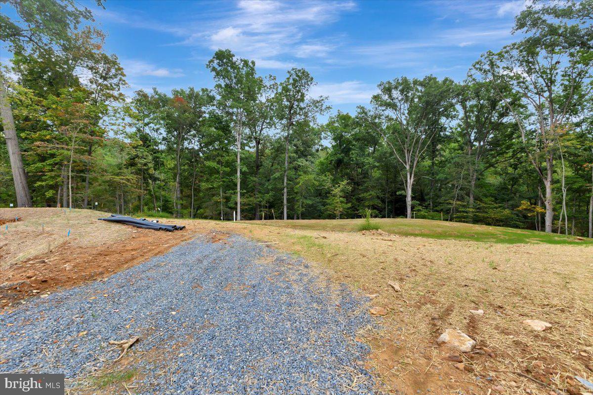 Lot 1 Snowdens Run Road Property Photo 6