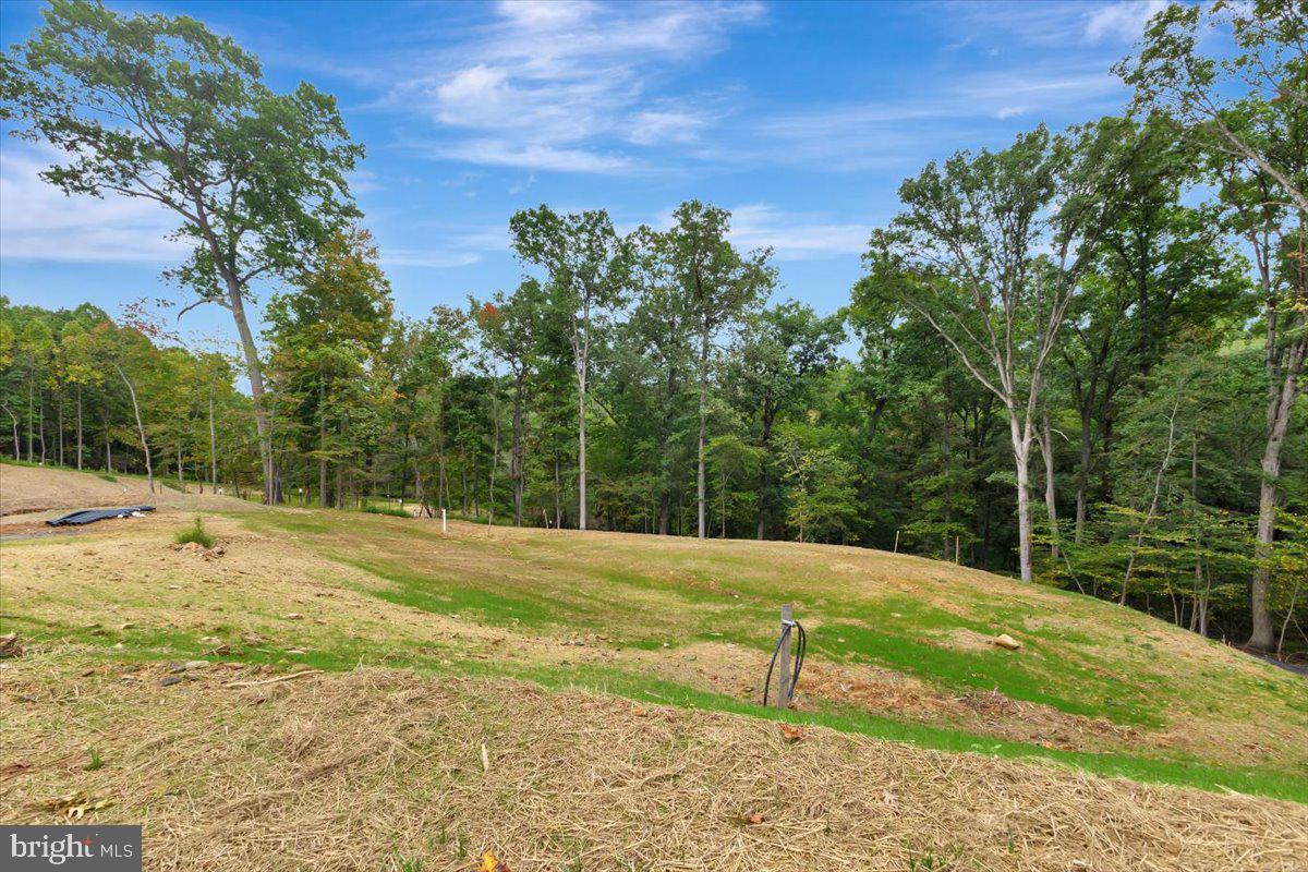 Lot 1 Snowdens Run Road Property Photo 7