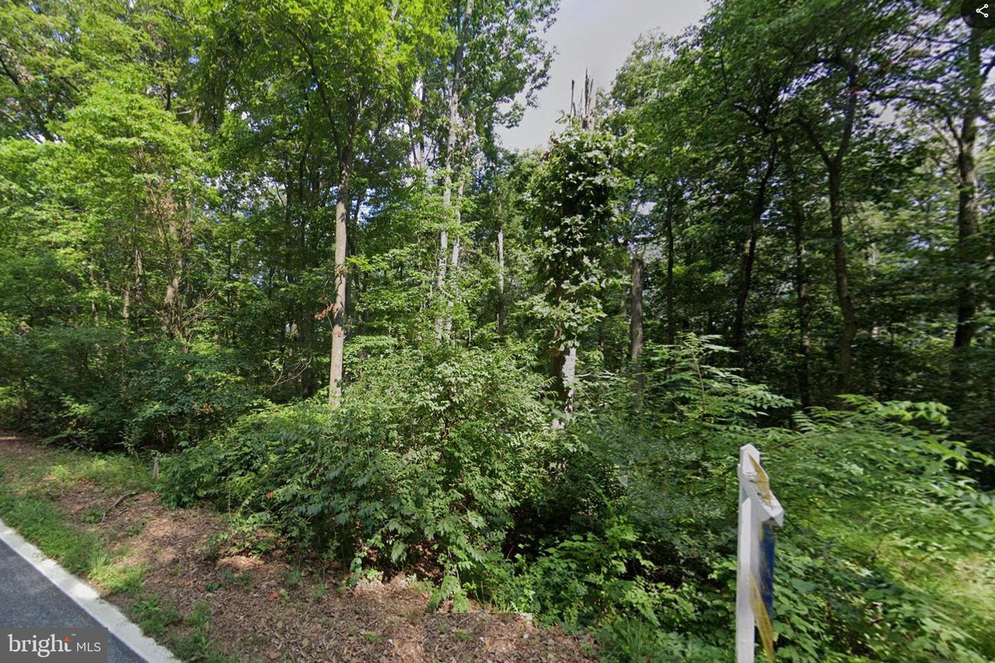 Back Woods Rd Property Photo 2