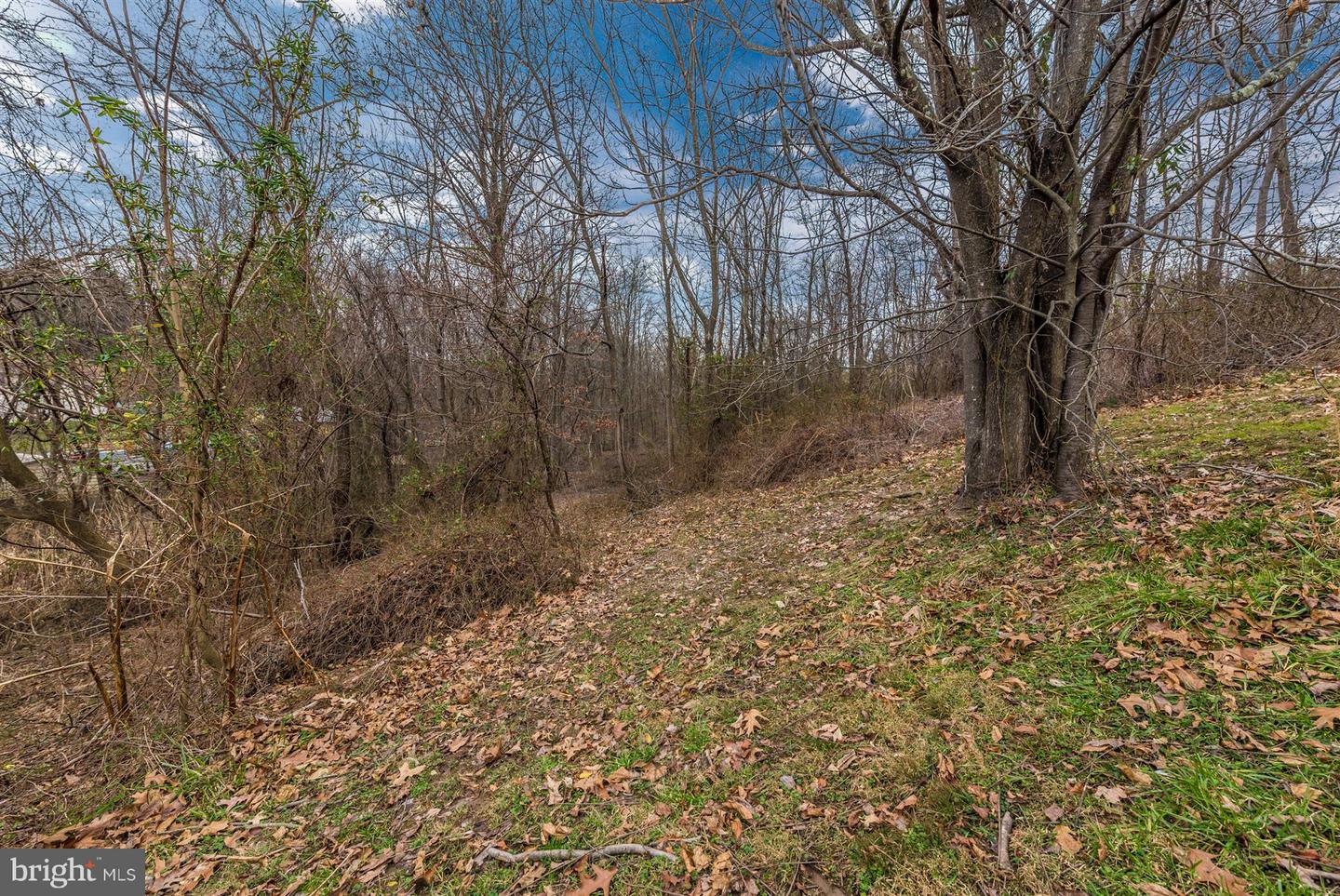1402 Woodenbridge Ln Property Photo 46