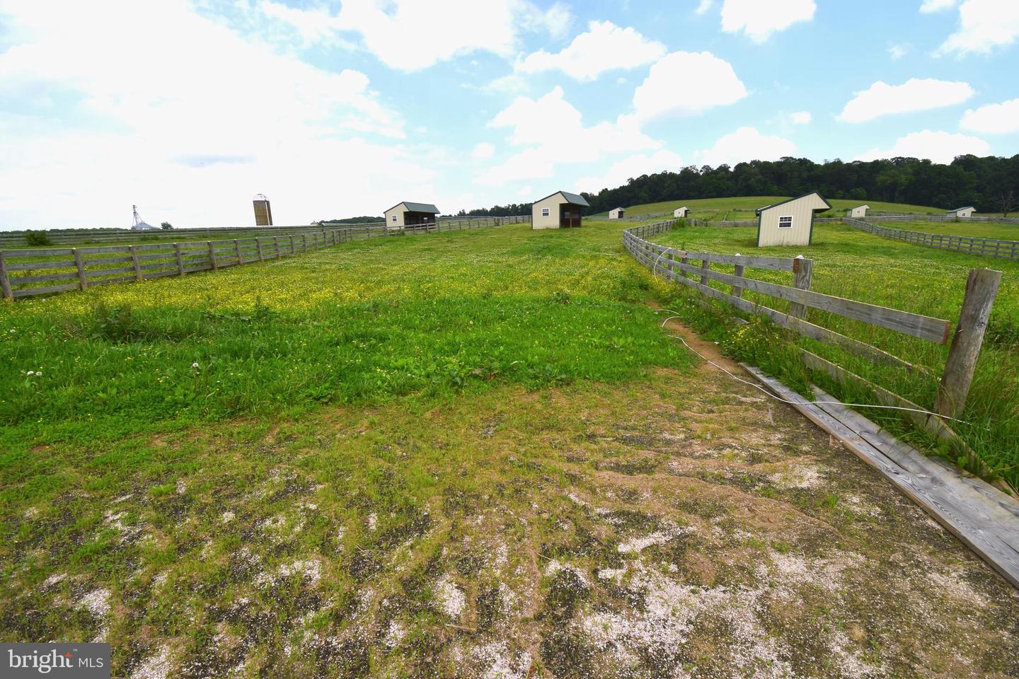 3875 Bark Hill Rd Property Photo 80
