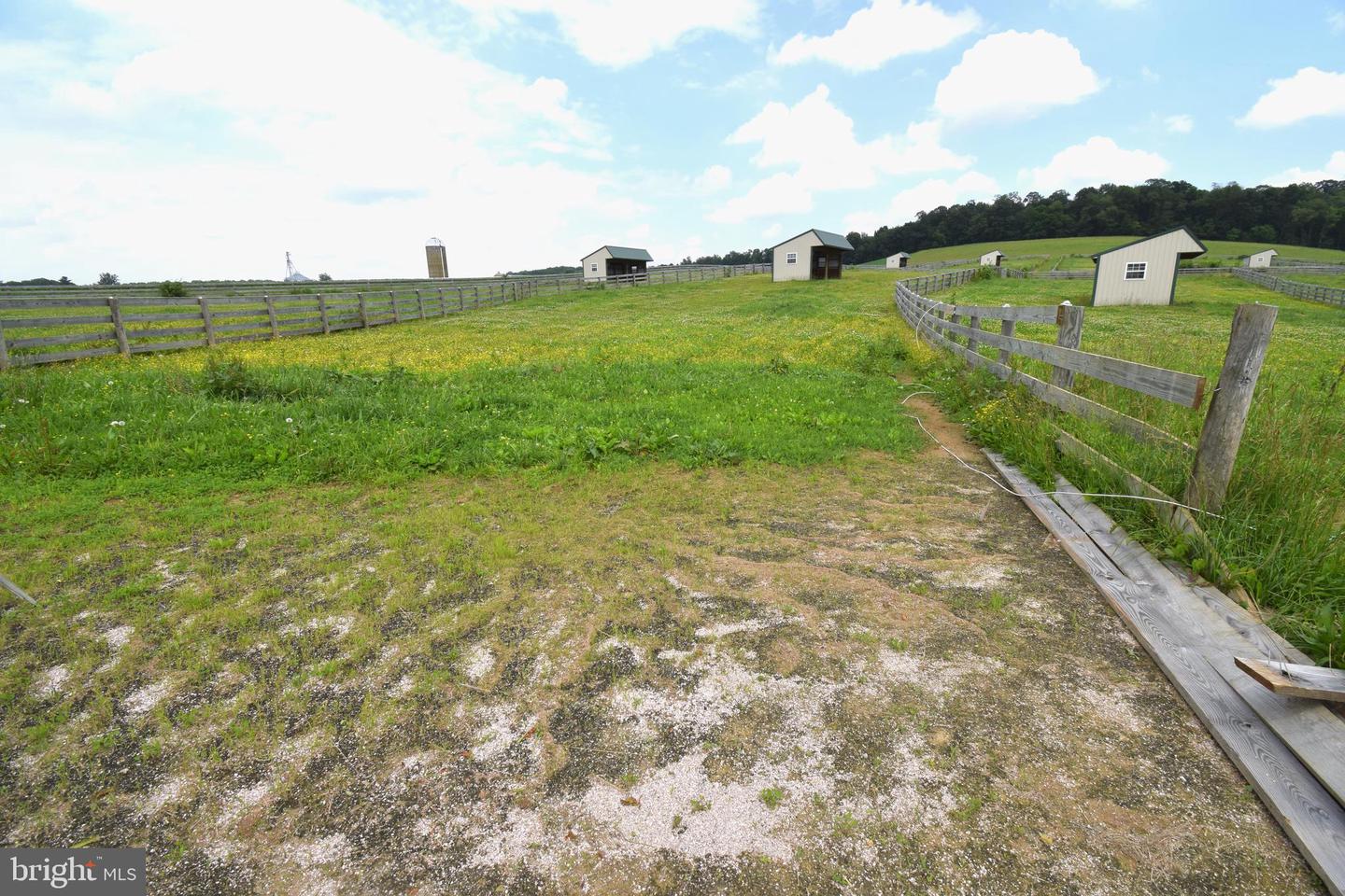 3875 Bark Hill Rd Property Photo 82