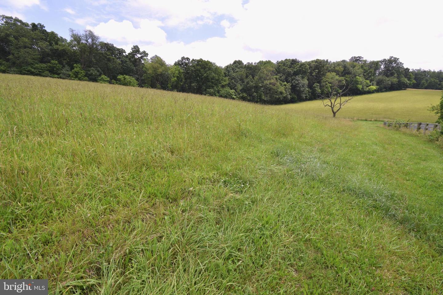 3875 Bark Hill Rd Property Photo 95