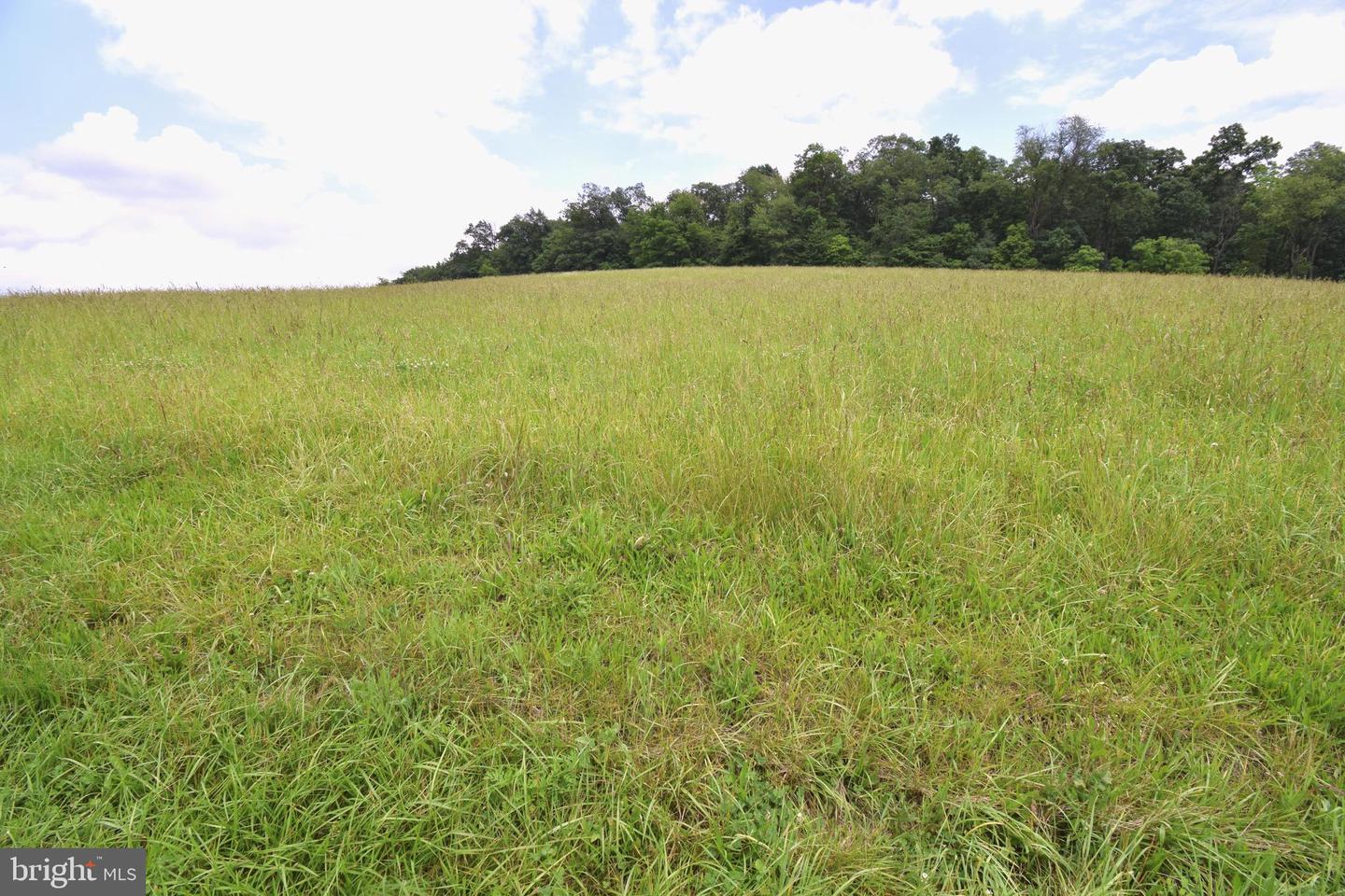 3875 Bark Hill Rd Property Photo 97