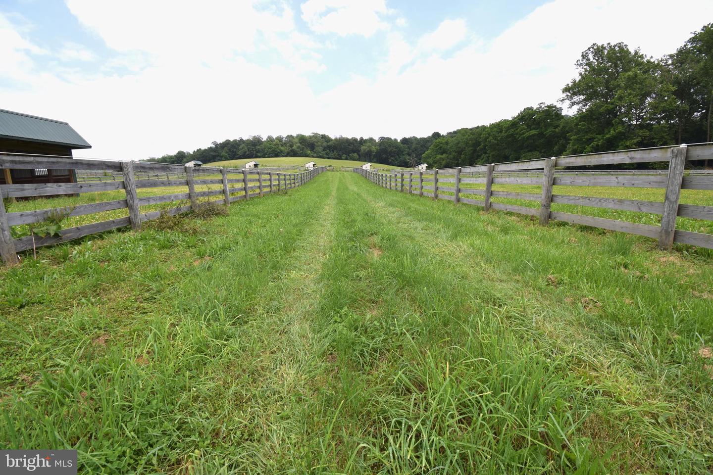 3875 Bark Hill Rd Property Photo 89