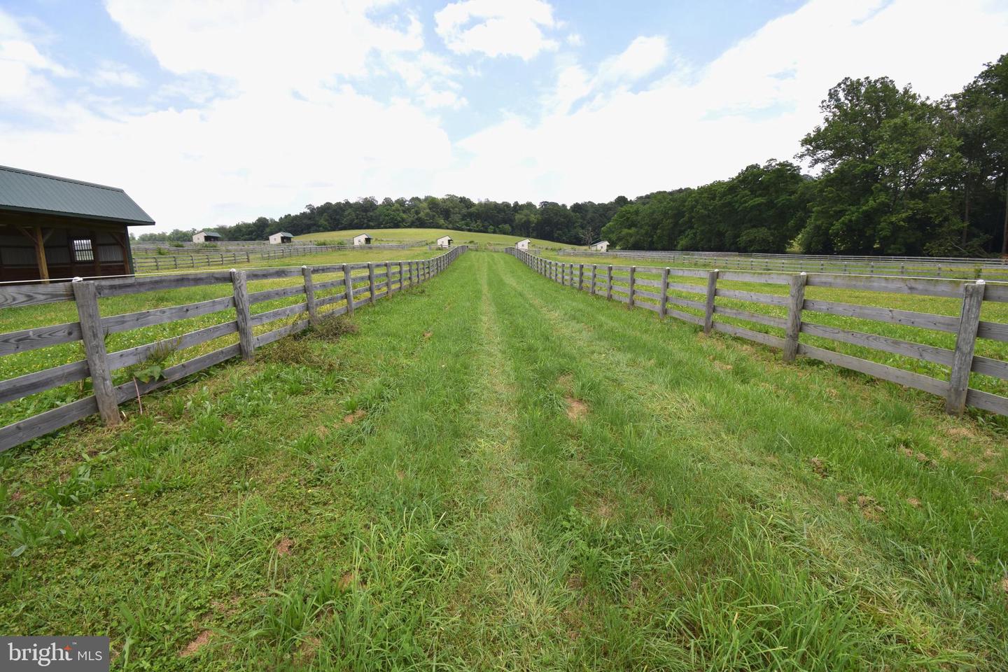 3875 Bark Hill Rd Property Photo 90