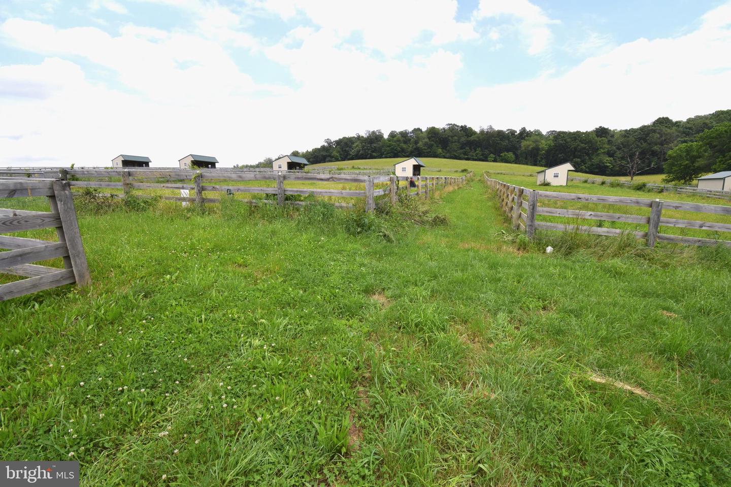 3875 Bark Hill Rd Property Photo 96