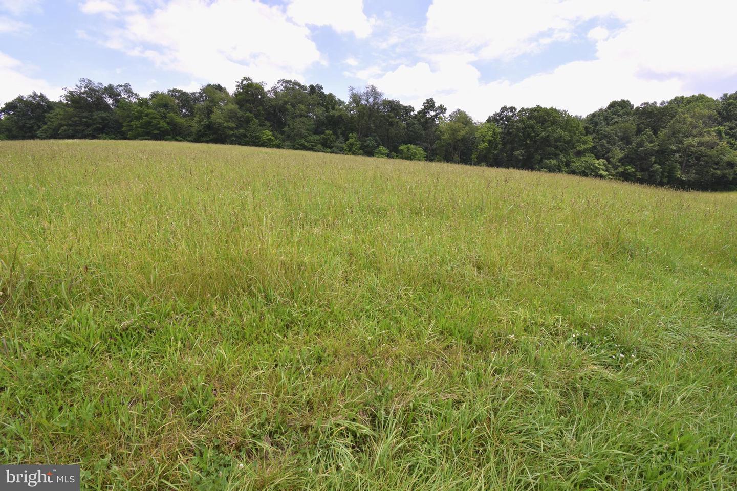 3875 Bark Hill Rd Property Photo 98