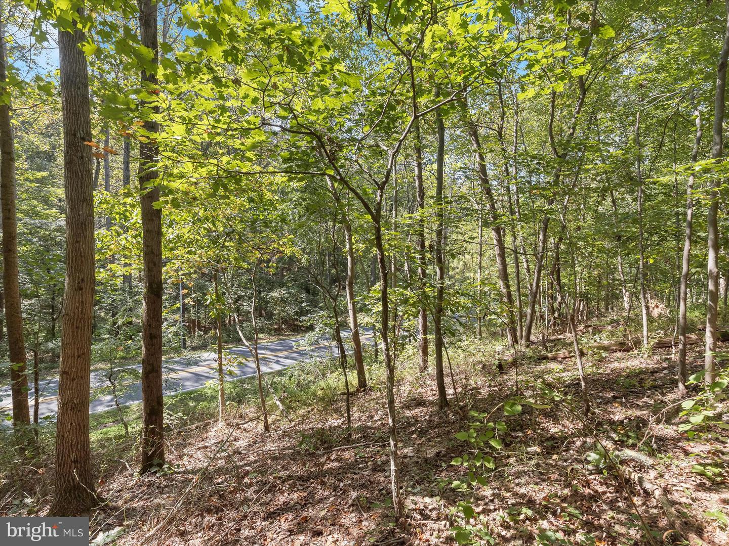SILVER RUN VALLEY