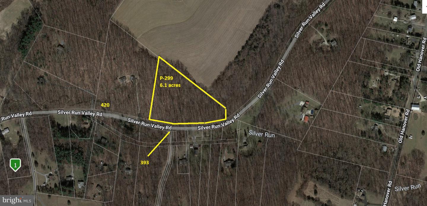 Silver Run Valley Property Photo 3
