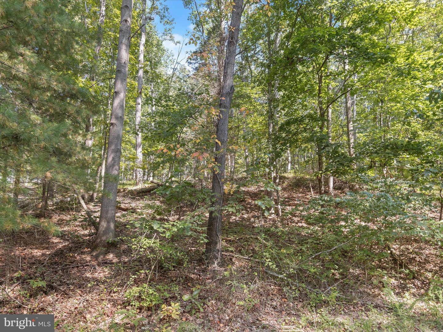 Silver Run Valley Property Photo 5