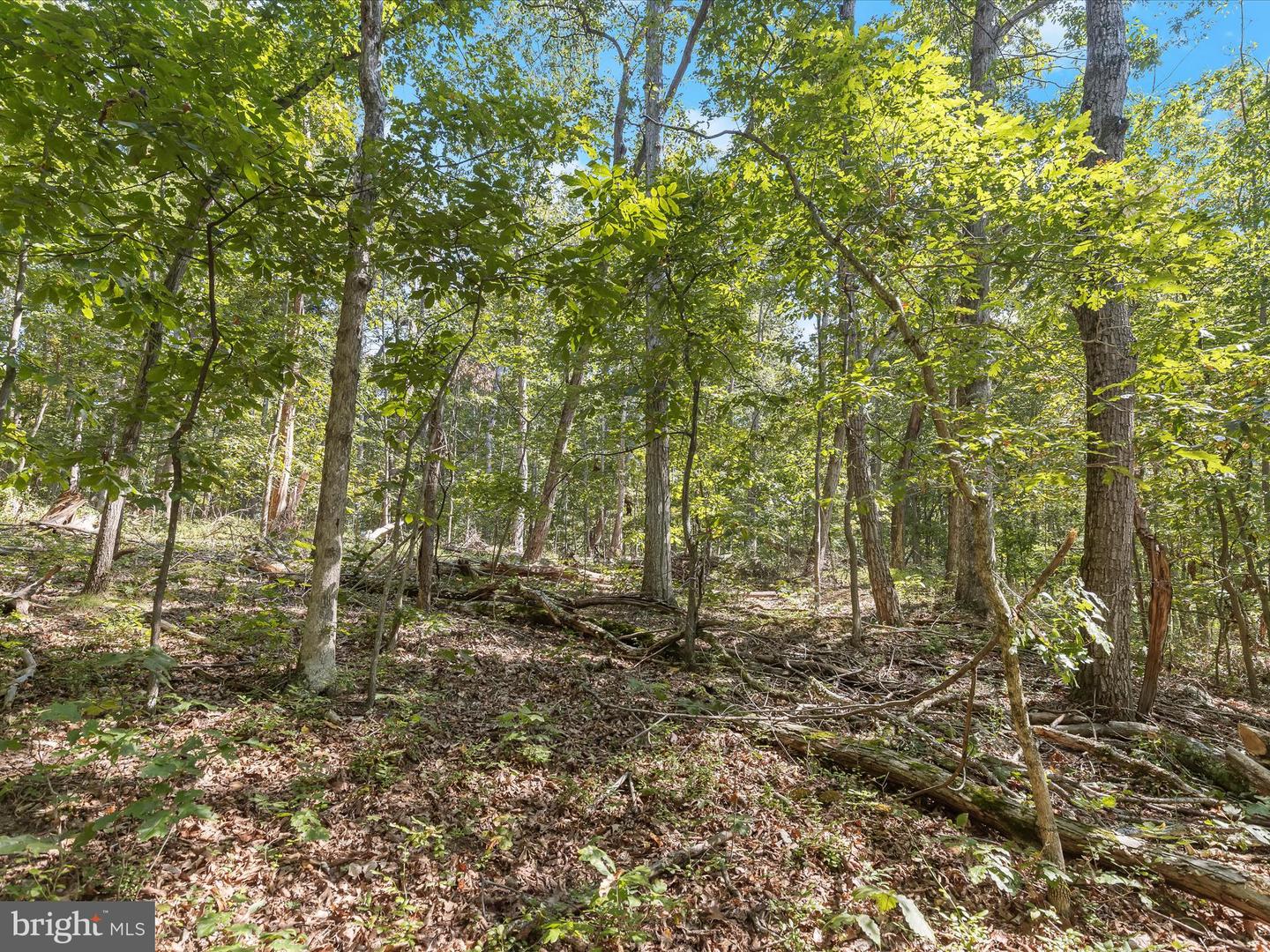 Silver Run Valley Property Photo 9