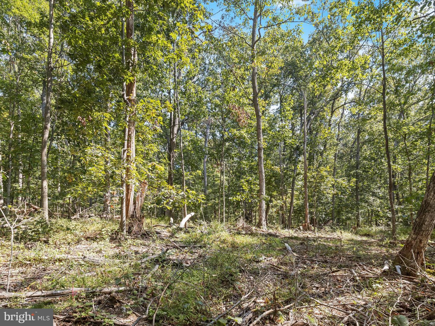 Silver Run Valley Property Photo 10