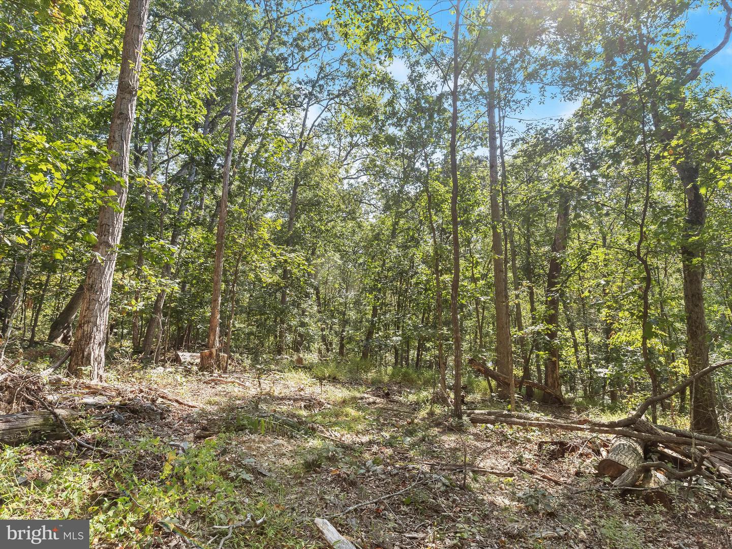 Silver Run Valley Property Photo 11
