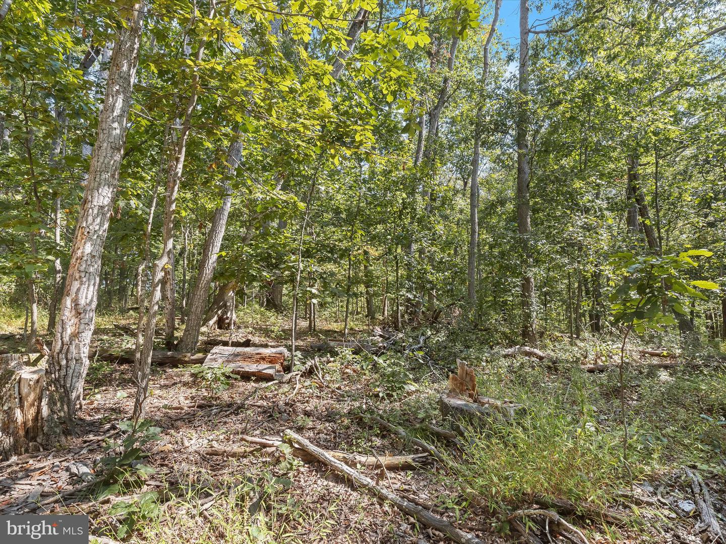 Silver Run Valley Property Photo 12
