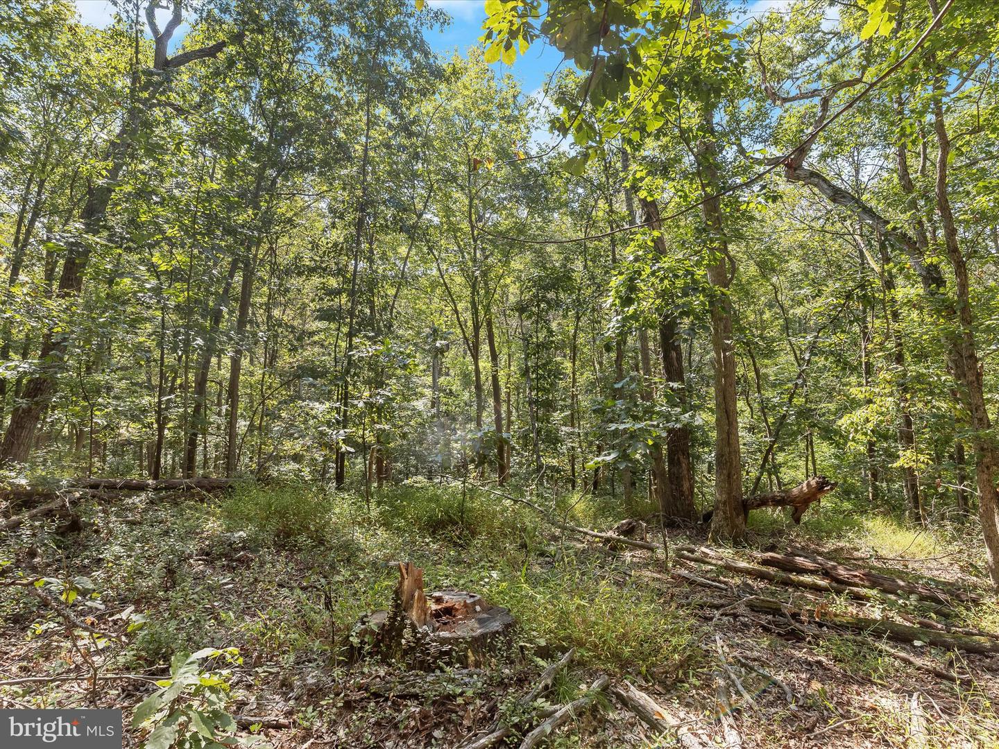 Silver Run Valley Property Photo 13