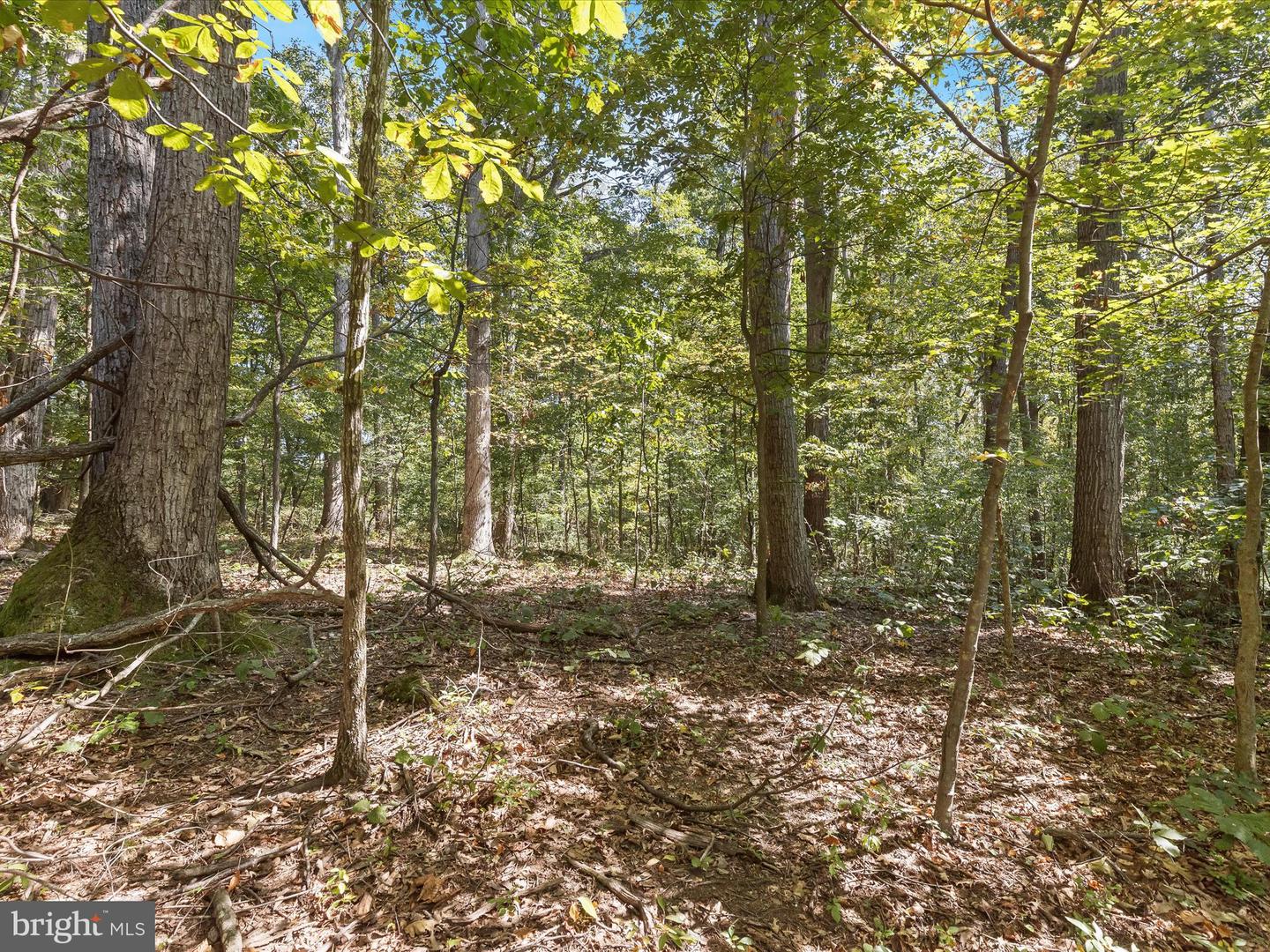 Silver Run Valley Property Photo 14
