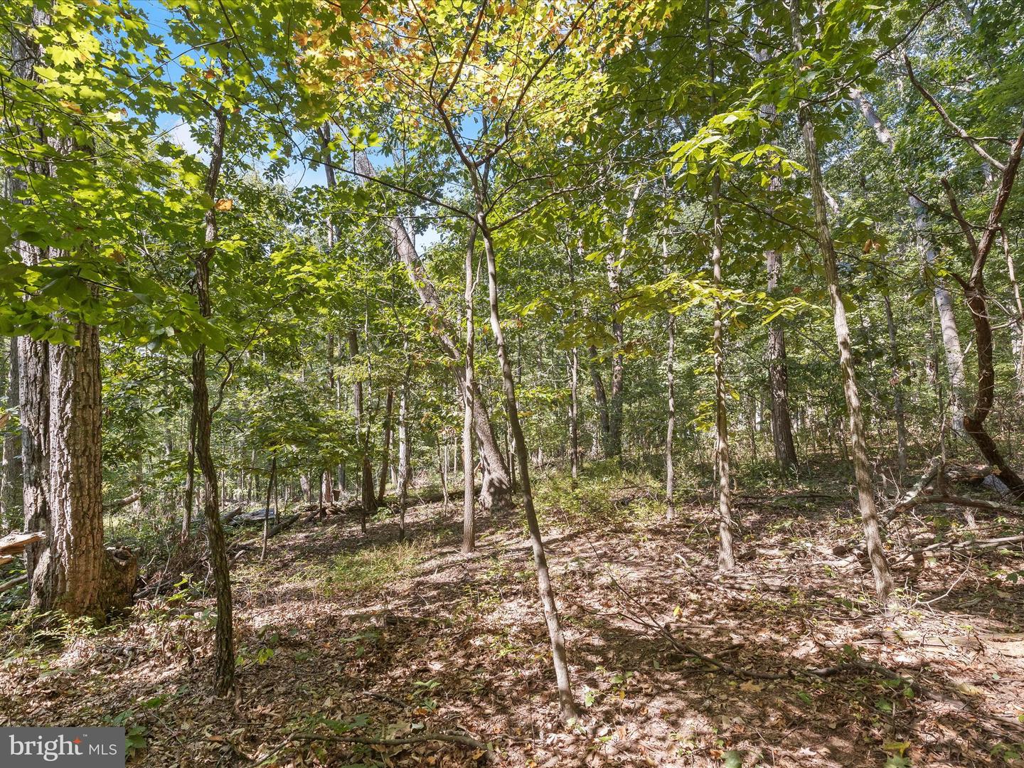 Silver Run Valley Property Photo 15