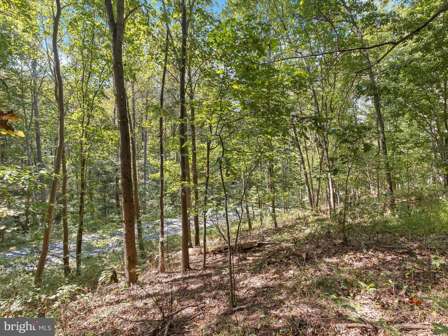 Silver Run Valley Property Photo 16