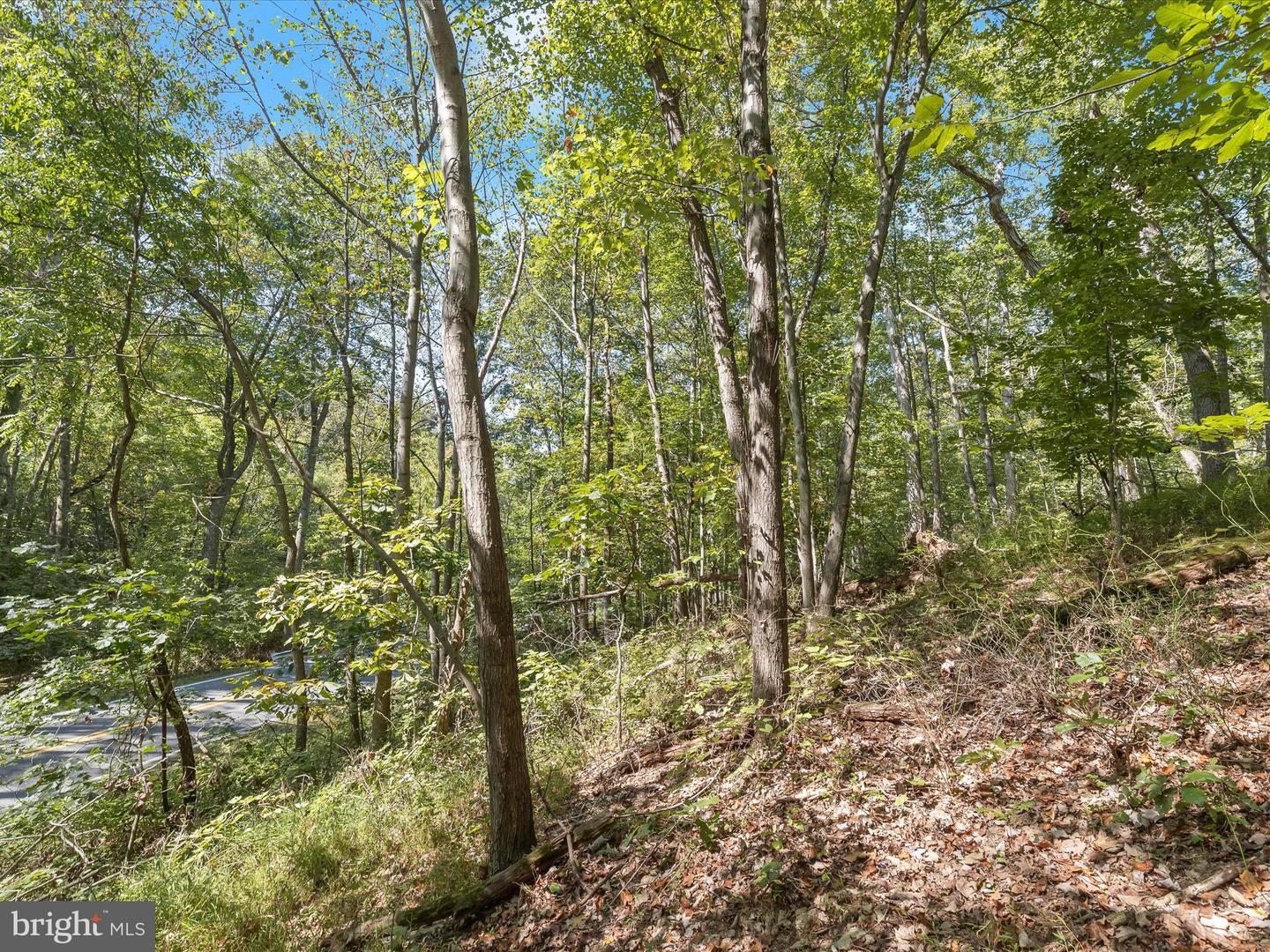 Silver Run Valley Property Photo 17