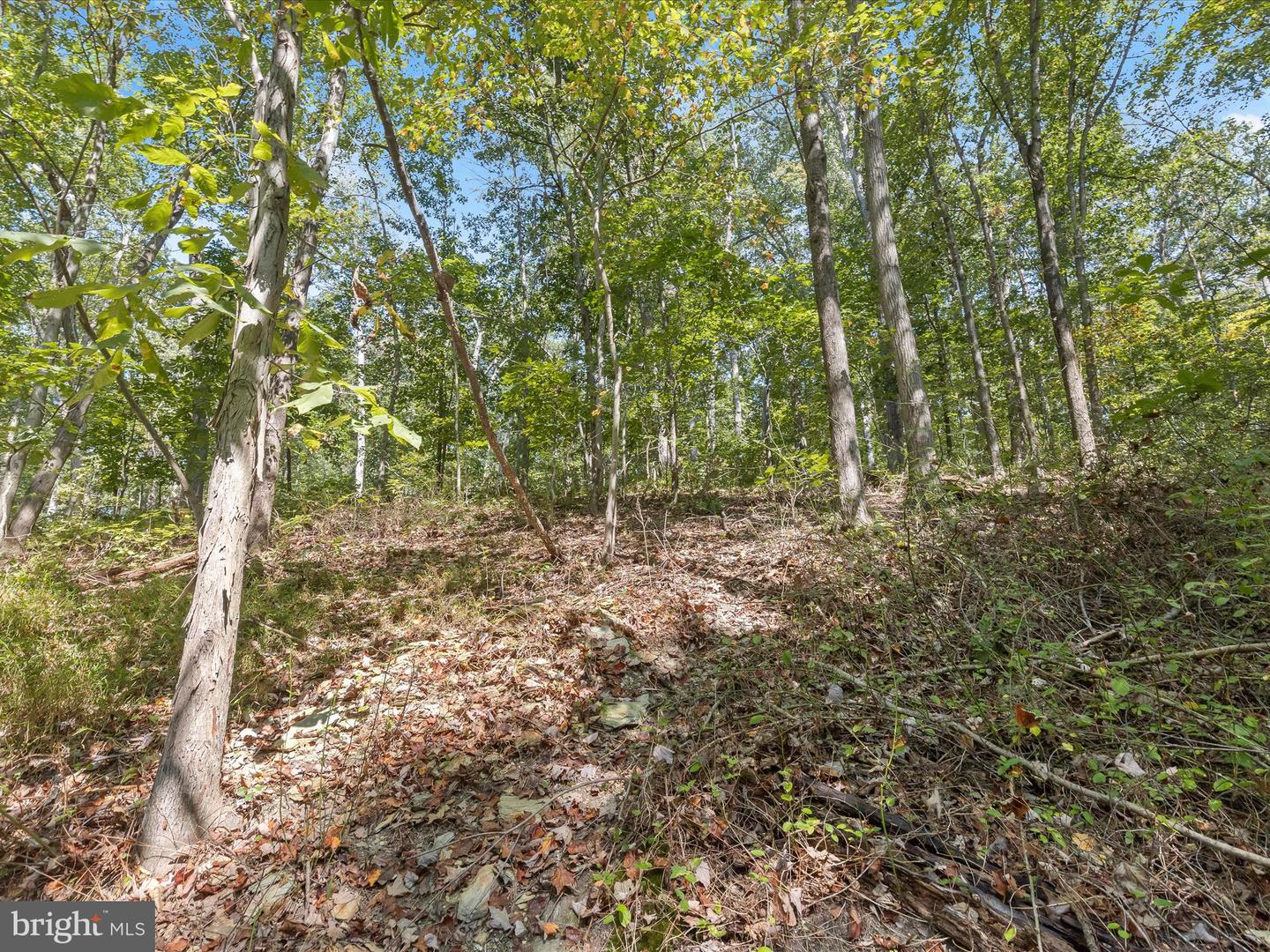 Silver Run Valley Property Photo 18
