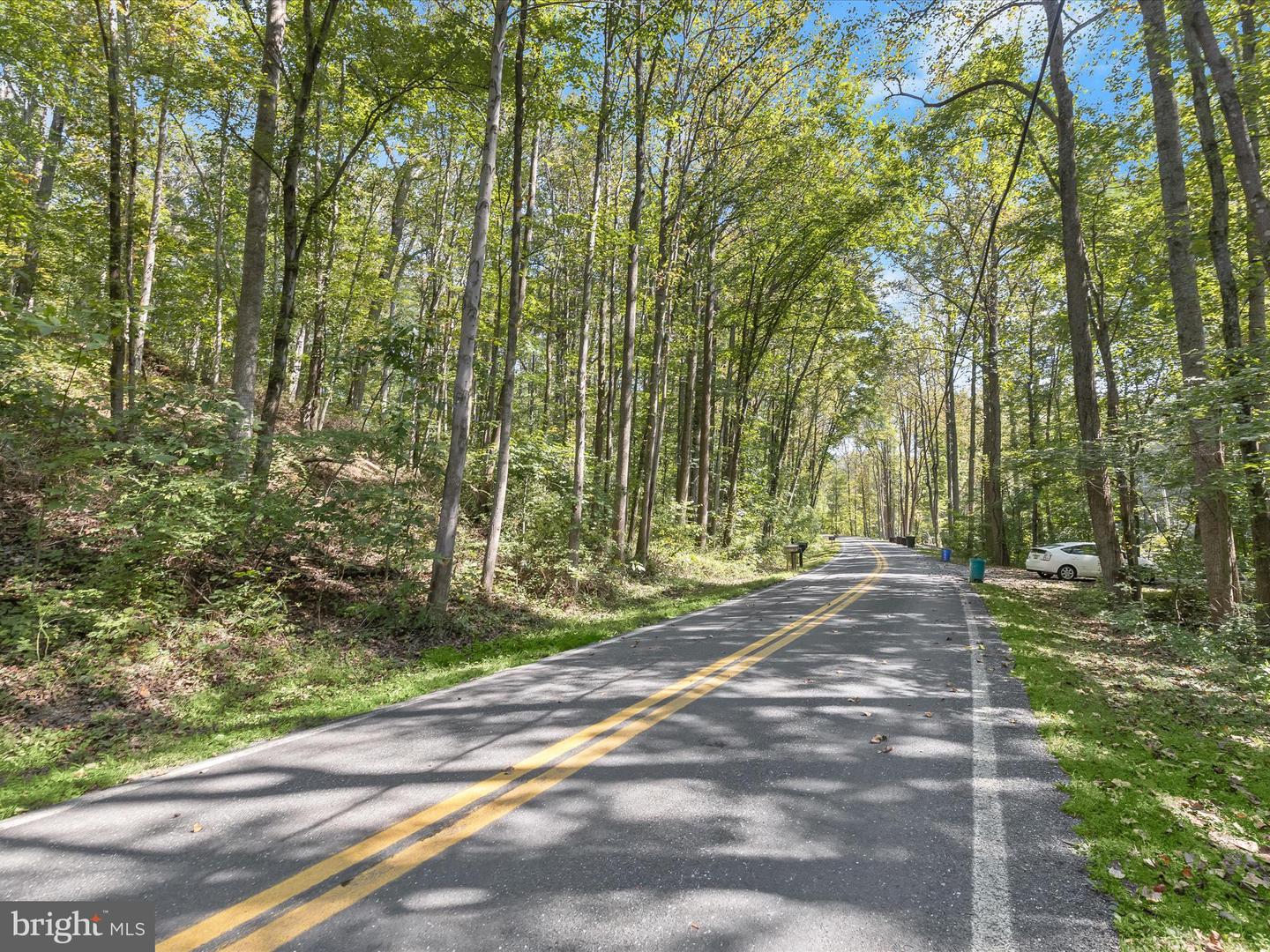 Silver Run Valley Property Photo 19