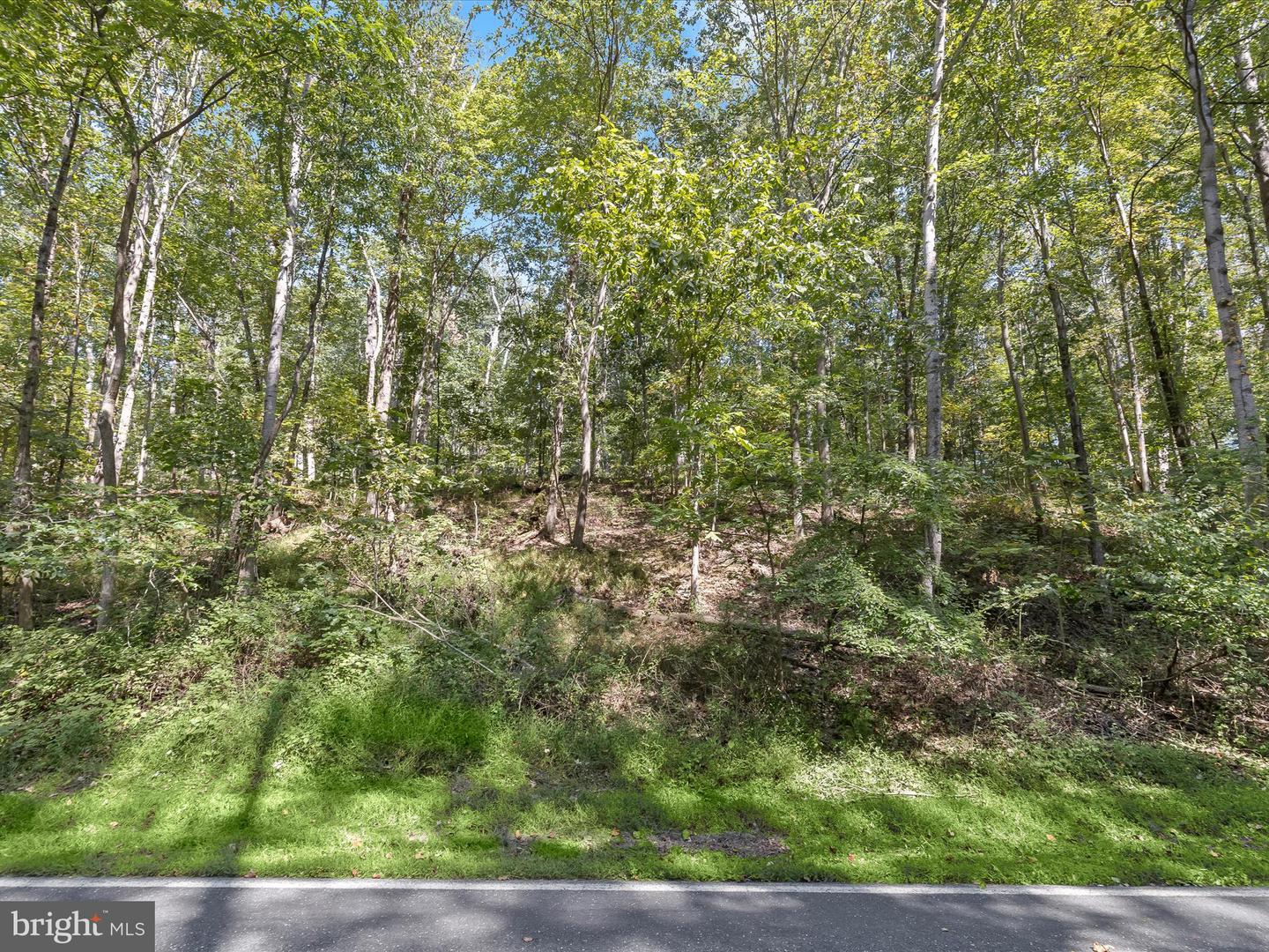 Silver Run Valley Property Photo 21
