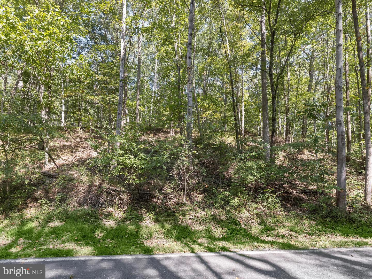 Silver Run Valley Property Photo 22
