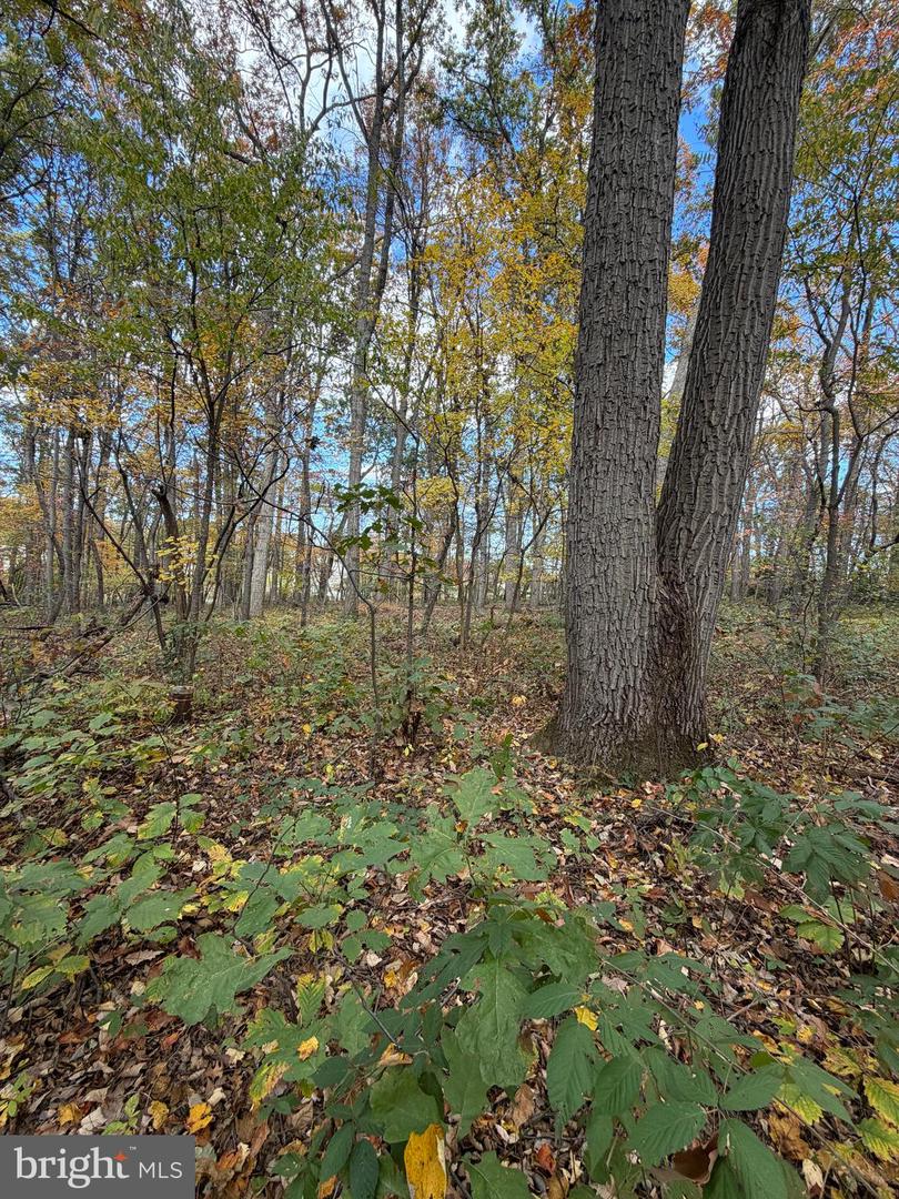Dave Rill Rd Property Photo 4