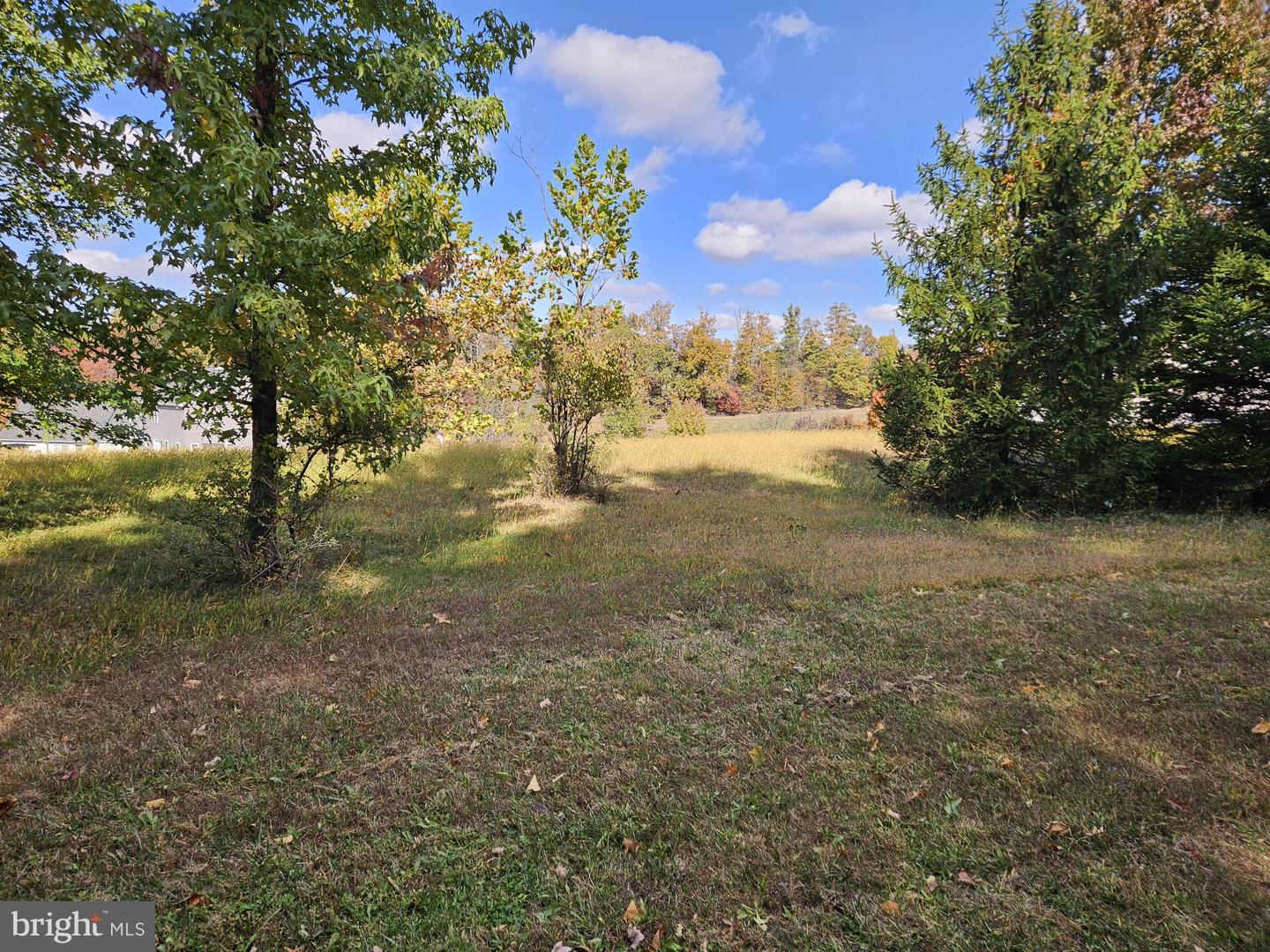 Arnold Rd Property Photo 9