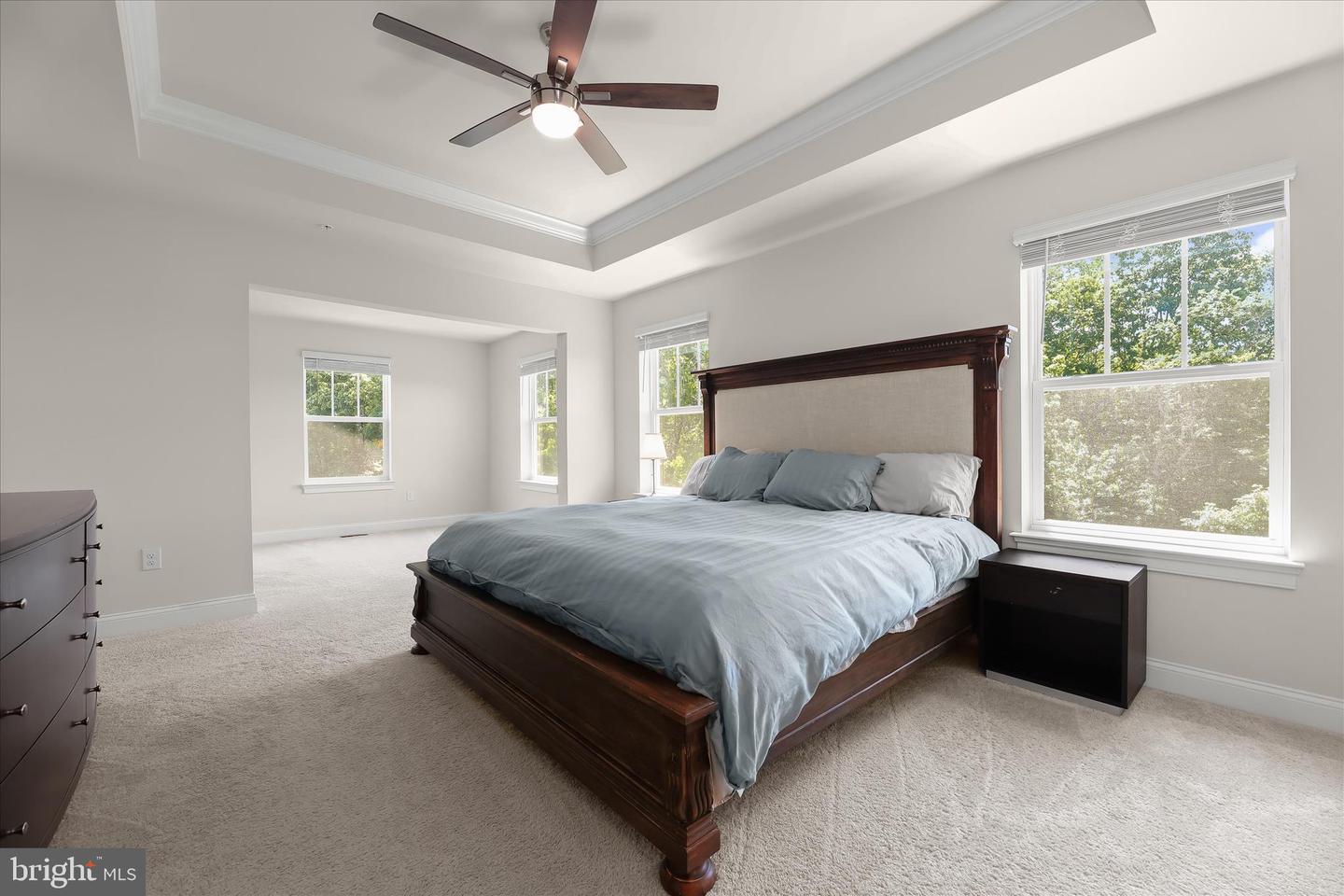 785 Starry Night Dr Property Photo 5