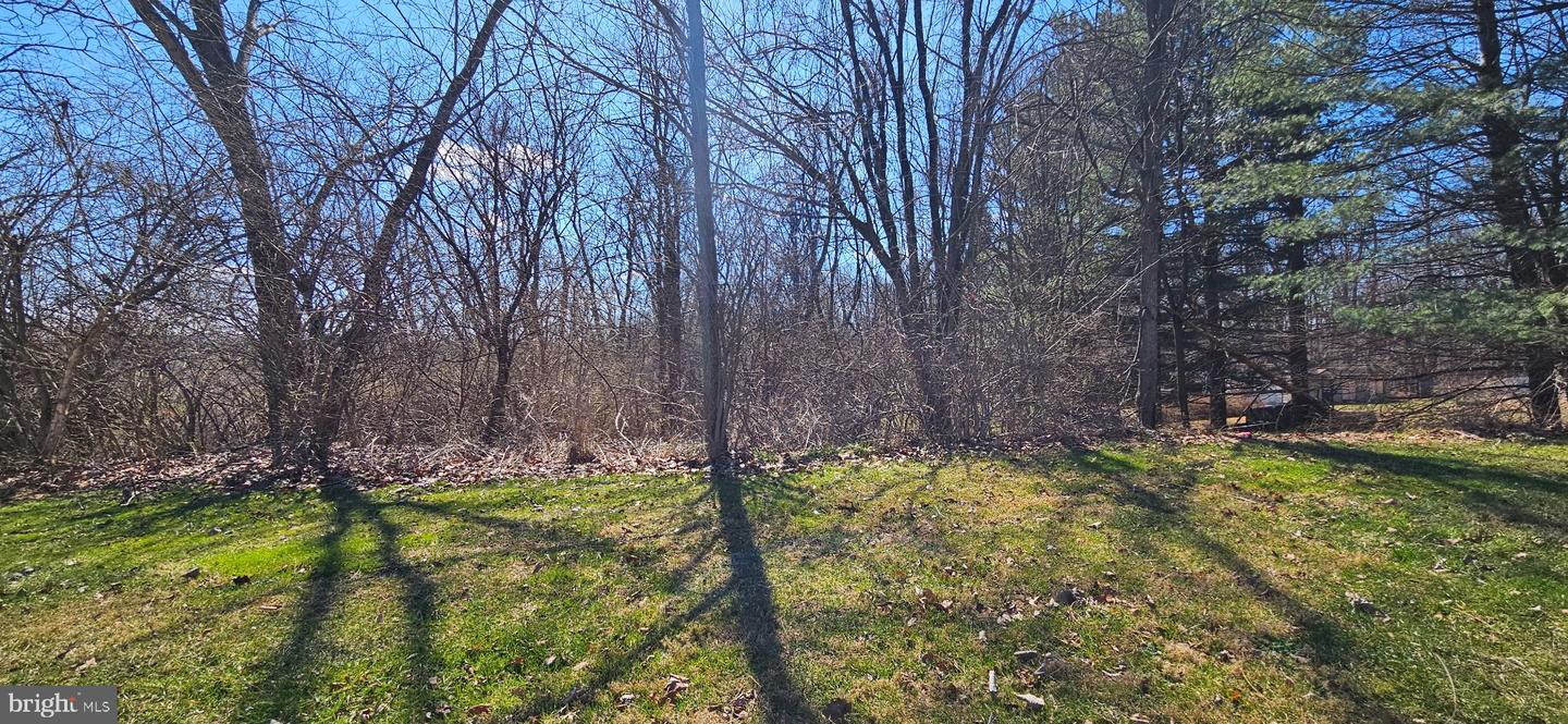 55 Glen Dr Property Photo 4