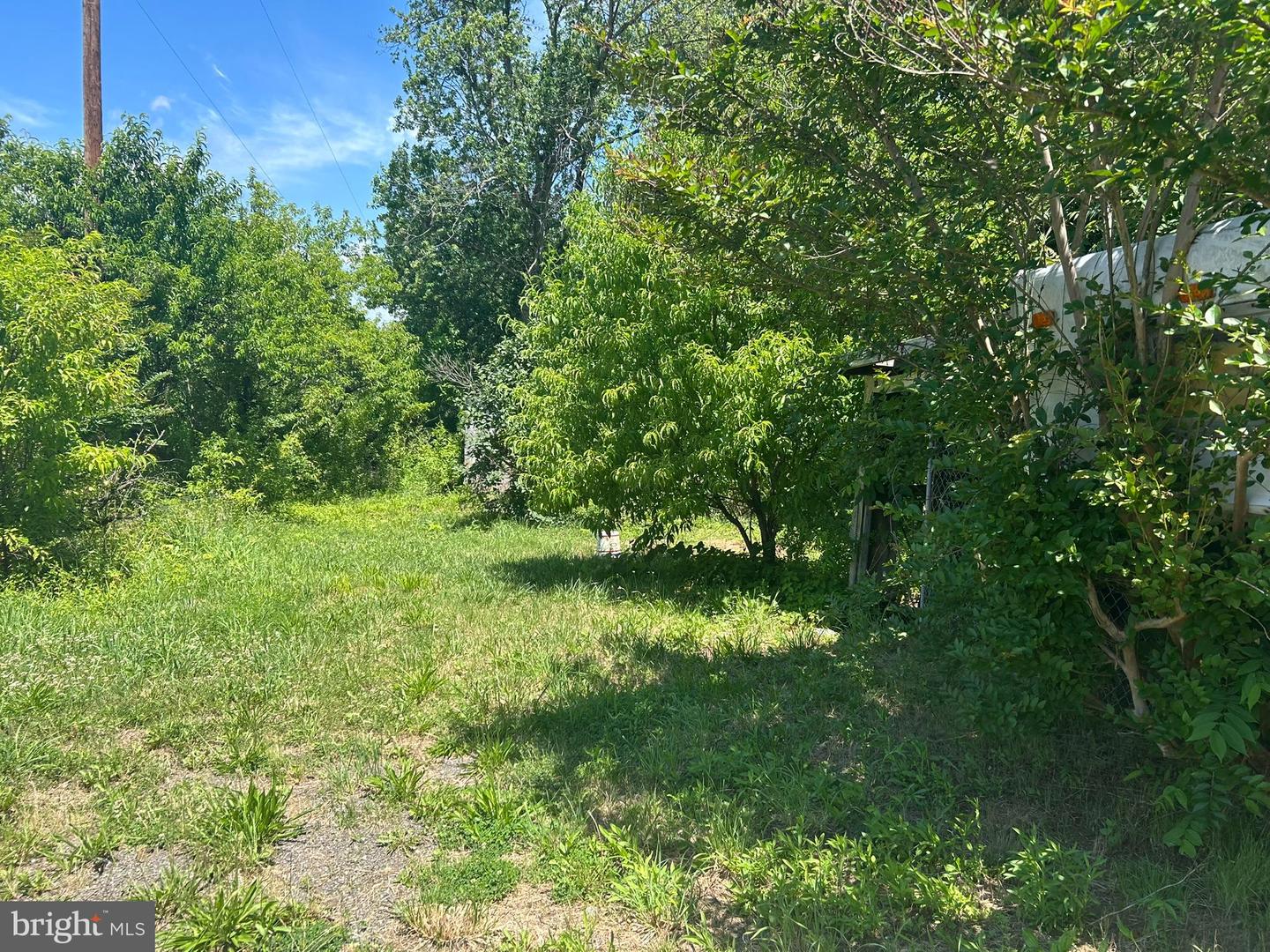 2143 Keysville Frederick Co Rd Property Photo 18