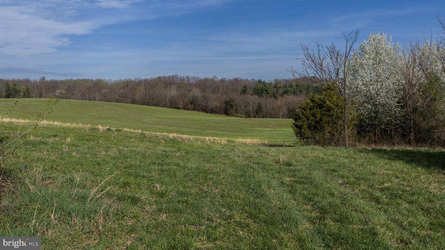 Brown Farm Lot #1 Cross Section Rd (near 2341 Cross Section Rd) Property Photo 10