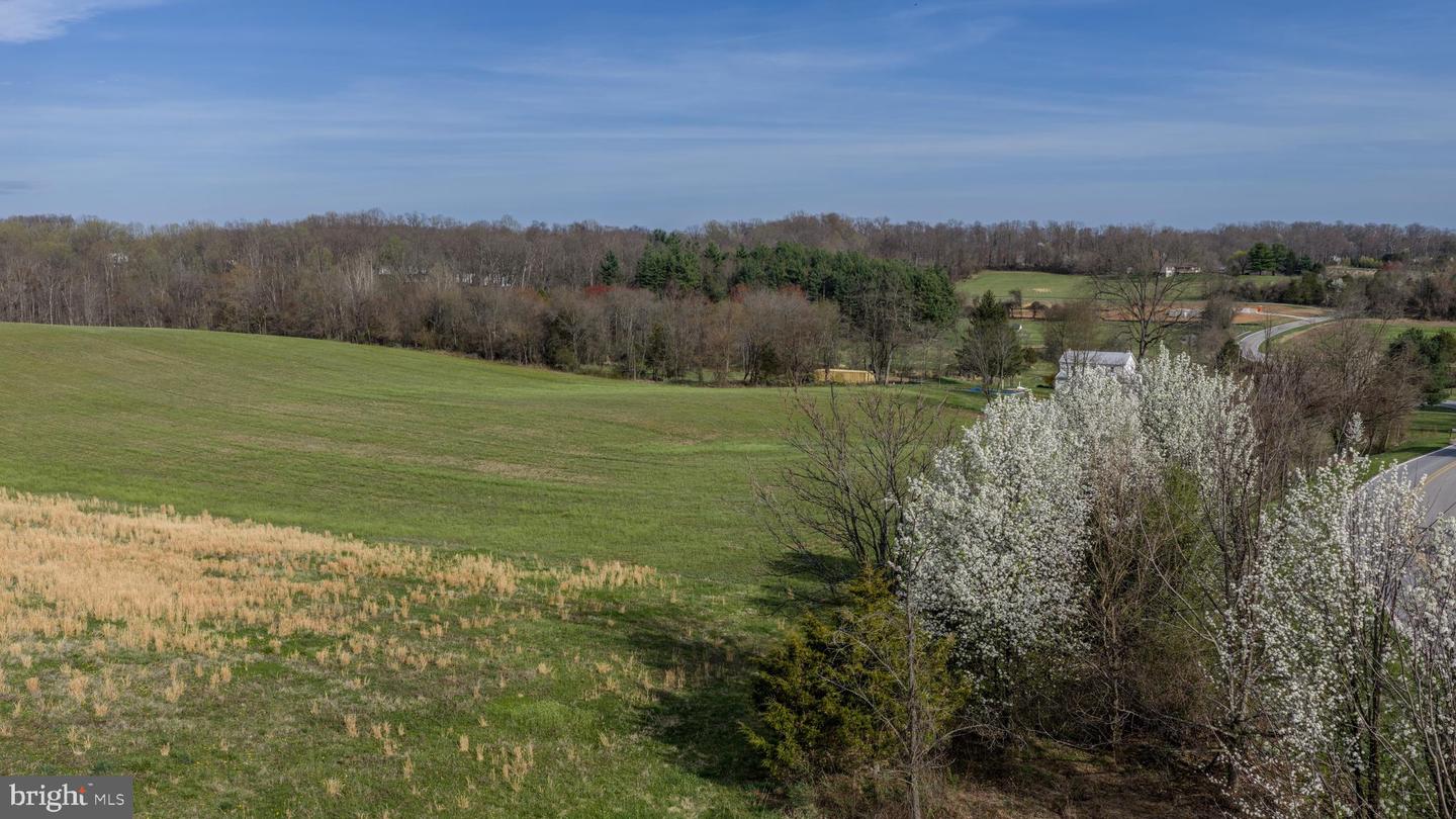 Brown Farm Lot #1 Cross Section Rd (near 2341 Cross Section Rd) Property Photo 11