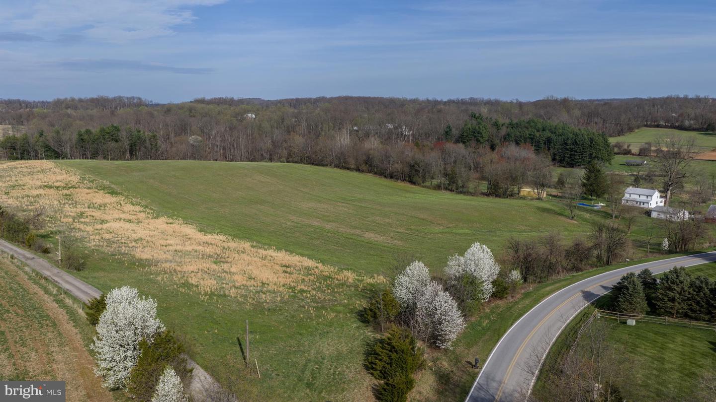 Brown Farm Lot #1 Cross Section Rd (near 2341 Cross Section Rd) Property Photo 12