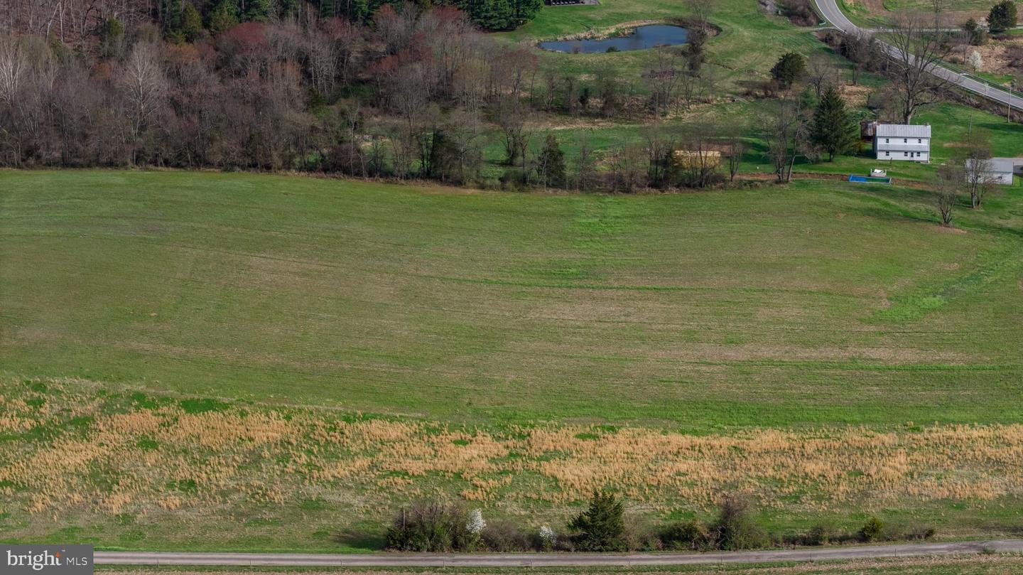 Brown Farm Lot #1 Cross Section Rd (near 2341 Cross Section Rd) Property Photo 18
